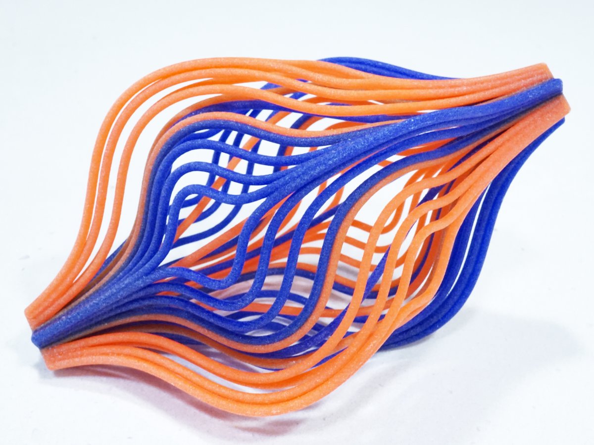 A 3D-printed sculpture of orange and blue curved strands that sweep along the streamlines of a vector field, forming a lens shape